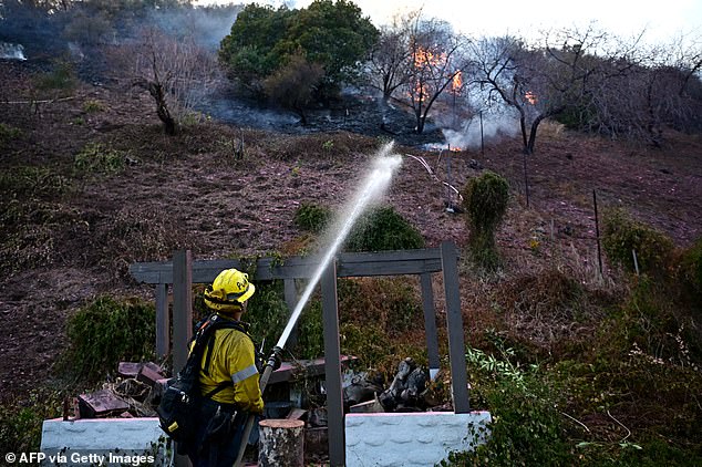 A firefighter puts out flames in the Mandeville Canyon neighborhood