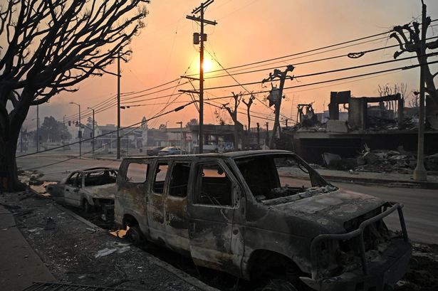 Charred vehicles are seen along a road after the passage of the Palisades Fire qhiqquiqetideqinv