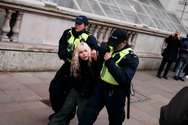 Police make an arrest after protesters gather on Whitehall in central London at a National demonstration for Palestine, on January 18, 2025, organized by the Palestine Solidarity Campaign. Following the Metropolitan Police preventing a march from the BBC in London because the route passed a synagogue, protesters supporting  eiddirqihzinv