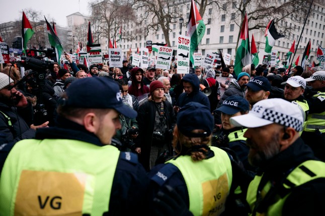 Protesters holding placards and flags face a line of police on Whitehall in central London at a National demonstration for Palestine, on January 18, 2025, organized by the Palestine Solidarity Campaign. Following the Metropolitan Police preventing a march from the BBC in London because the route passed a synagogue, protesters supporting 