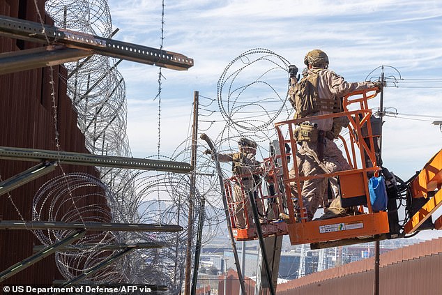 This comes as President Donald Trump is upping security at the border and carrying out a mass deportation campaign (Pictured: US Marines add barbed wire to the border wall in San Ysidro, California, on February 3)