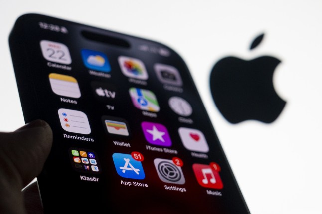 ANKARA, TURKIYE - JANUARY 22: App Store application is displayed as an iPhone is seen in front of the Apple logo in Ankara, Turkiye on January 22, 2024. (Photo by Muhammed Selim Korkutata/Anadolu via Getty Images) qhiddrieeiheinv