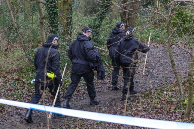 Alamy Live News. 2SJ8YAT Moorend Avenue, Chelmsley Wood, Solihull 11th February 2025: West Midlands Police have cordoned off Alcott Woods in the Chelmsley Wood area of Solihull after a woman was raped by 2 men on Monday morning. A forensics officer was seen taking pictures and placing items into evidence bags inside the wooded area that is surrounded by residential streets. Several police vehicles were parked along Moorend Avenue on Tuesday 11 February morning. An inner cordon was placed in the centre of the woodland with police officers and PCSO’s guarding the crime scene. Officers had first attended on Monday aftern This is an Alamy Live News image and may not be part of your current Alamy deal . If you are unsure, please contact our sales team to check. qhiddriqxtidehinv