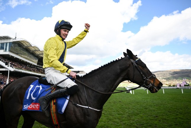 Cheltenham Racing Festival - Day One