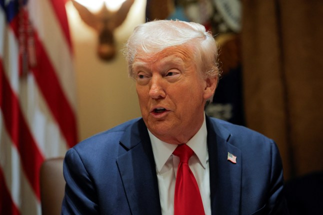 U.S. President Donald Trump hosts his first cabinet meeting with Elon Musk in attendance, Washington, D.C., U.S., February 26, 2025. REUTERS/Brian Snyder